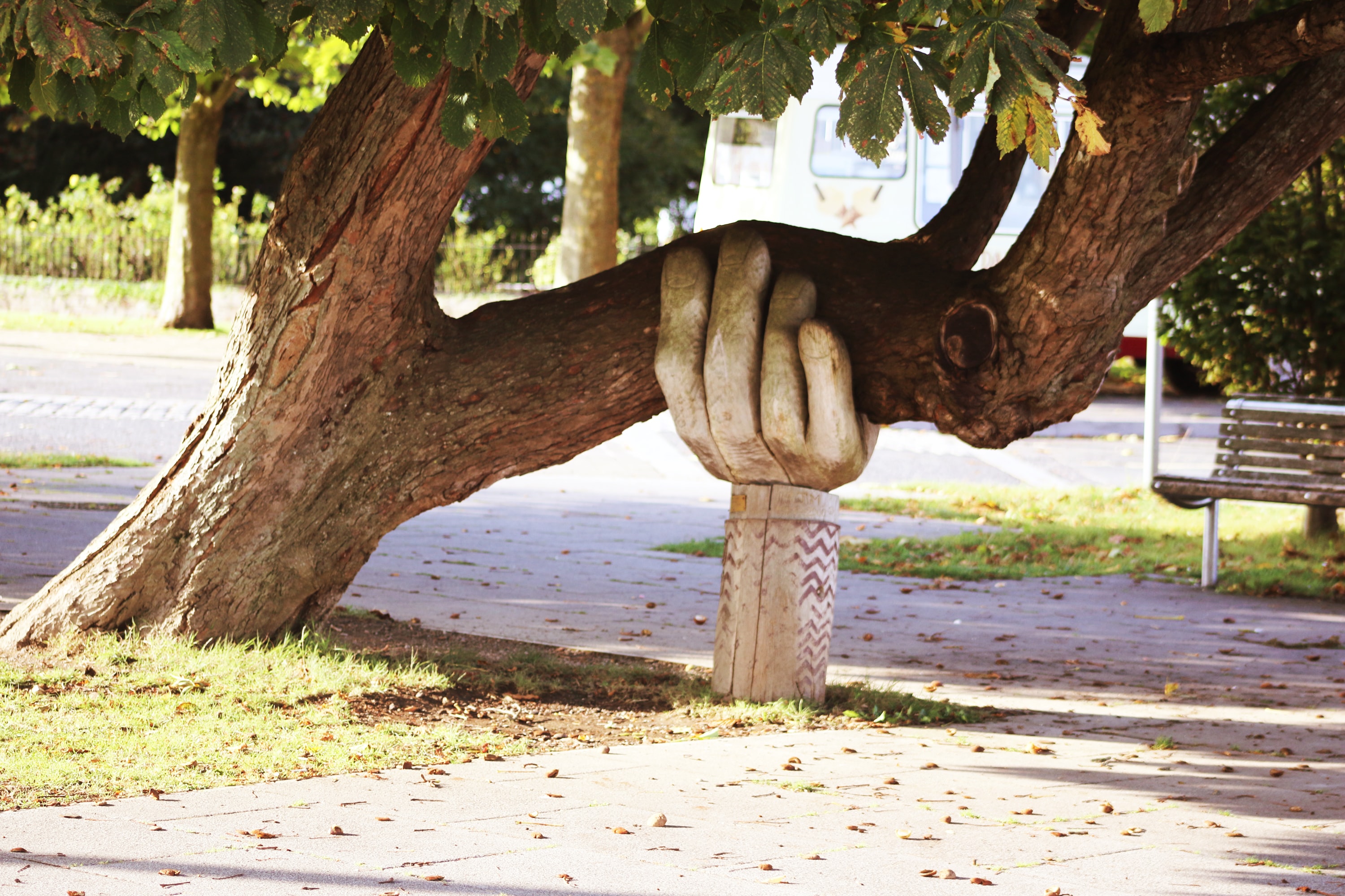 tree with wooden hand holding up a leaning branch